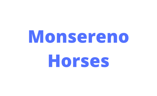 Monsereno horses