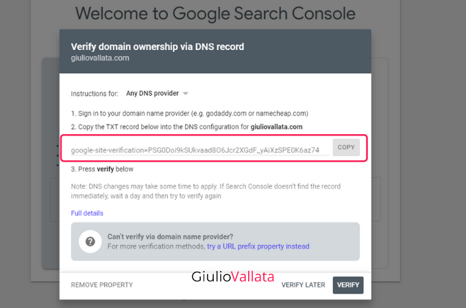 Google Search Console DNS record page